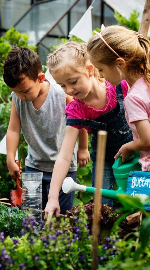 group-of-kindergarten-kids-learning-gardening-outdoors-1.jpg