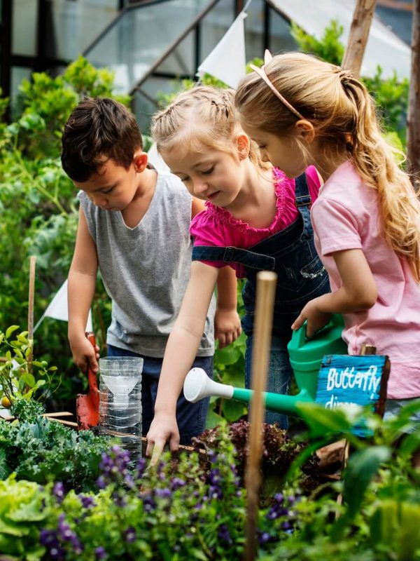 group-of-kindergarten-kids-learning-gardening-outdoors-1.jpg