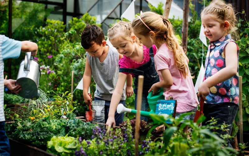 group-of-kindergarten-kids-learning-gardening-outdoors-1.jpg